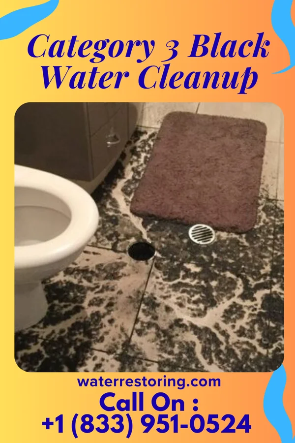 Category 3 Black Water Cleanup in Rose Hill, NC