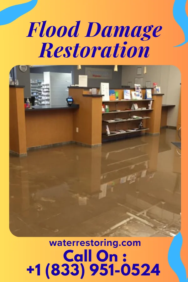 Flood Damage Restoration in Rose Hill, NC